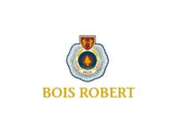 Logo partenaire RGI Services